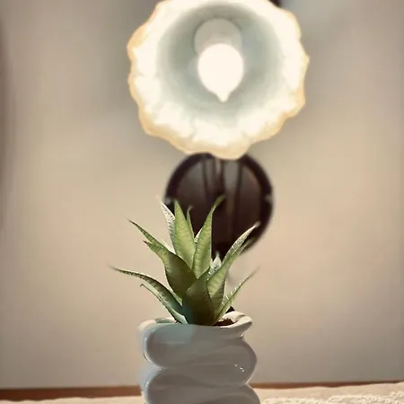 Emily's House 아파트 갈리아노델카포